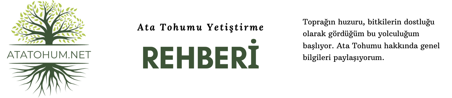 Ata Tohumu Yetiştirme - Genel Bilgiler